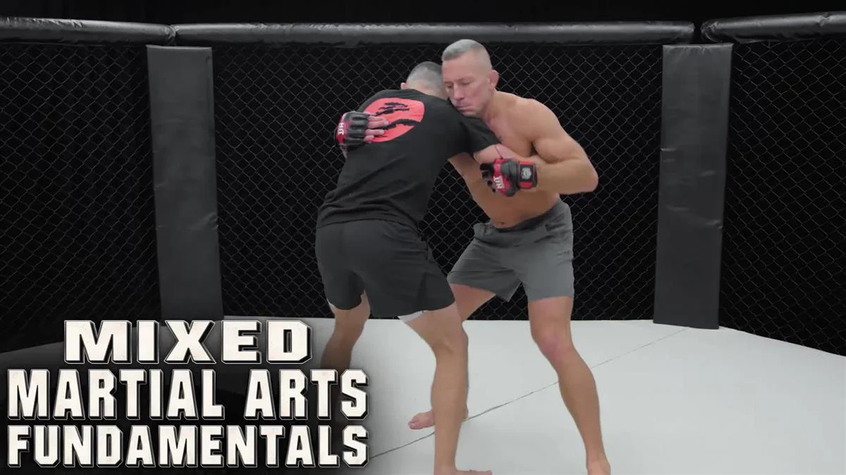 Mixed Martial Arts Fundamentals by Georges St-Pierre - Image 3