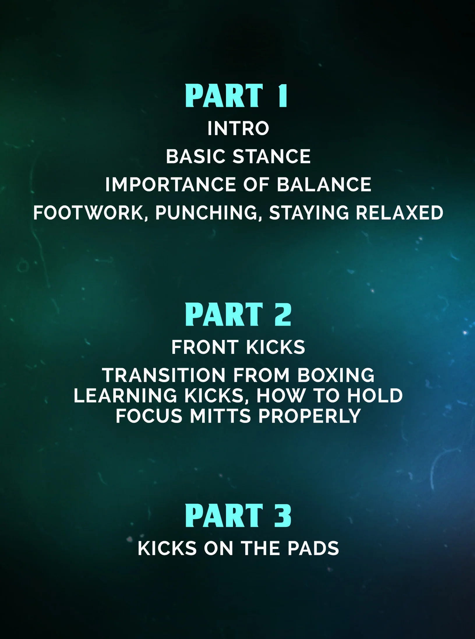 MMA Fundamentals: Footwork For MMA Striking by Javier Mendez - Image 2