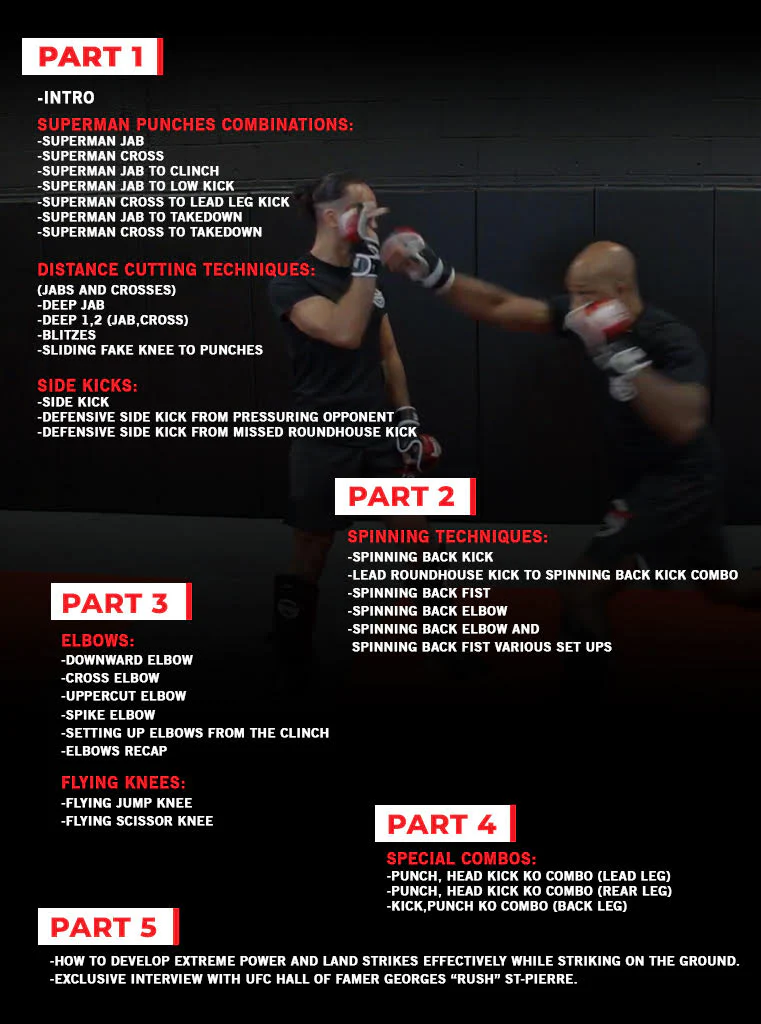 MMA Striking by David Loiseau - Image 2