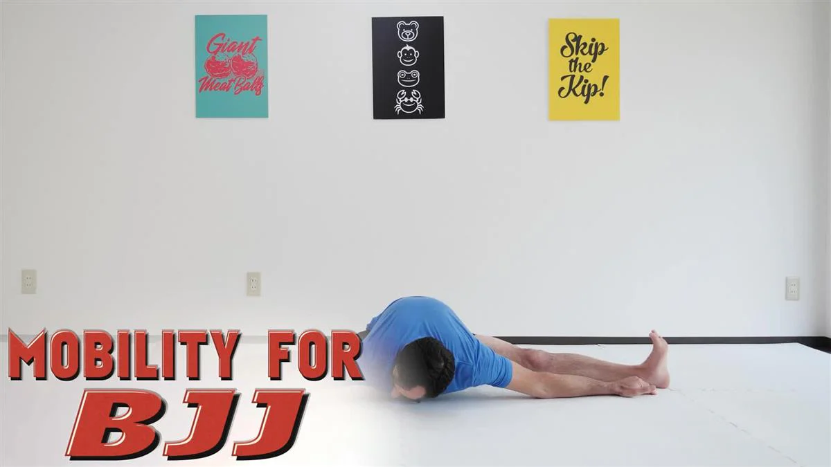 Mobility For BJJ by Ryan Hurst - Image 3