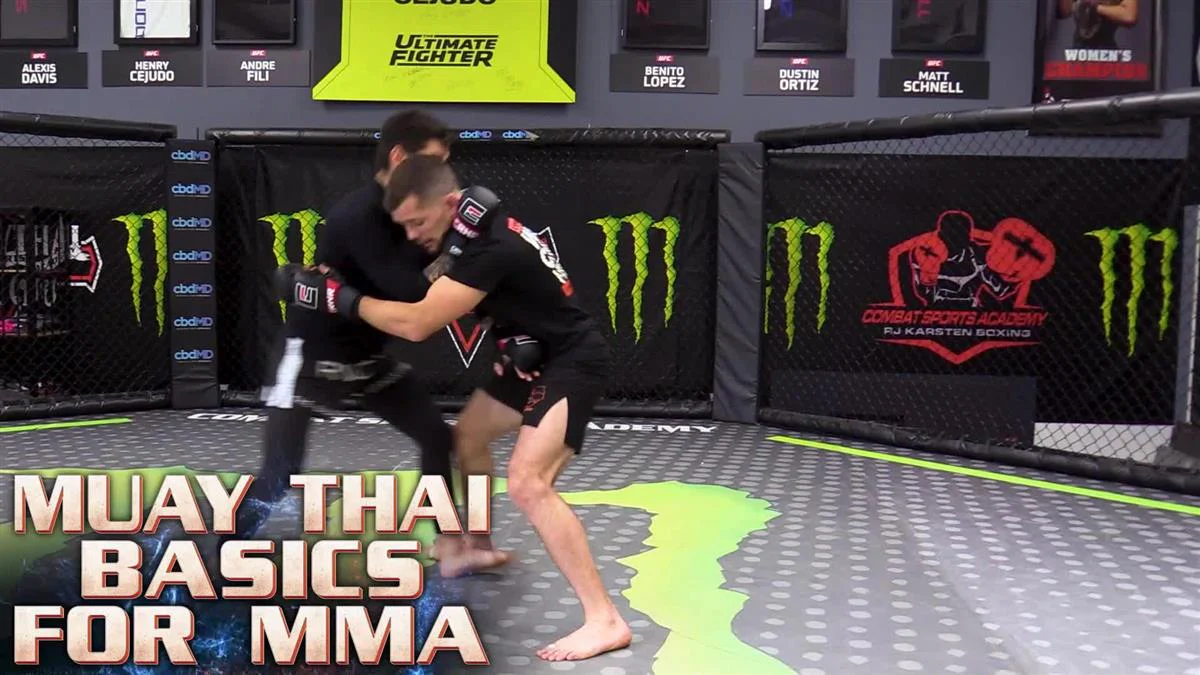 Muay Thai Basics For MMA by Gaston Bolanos - Image 3