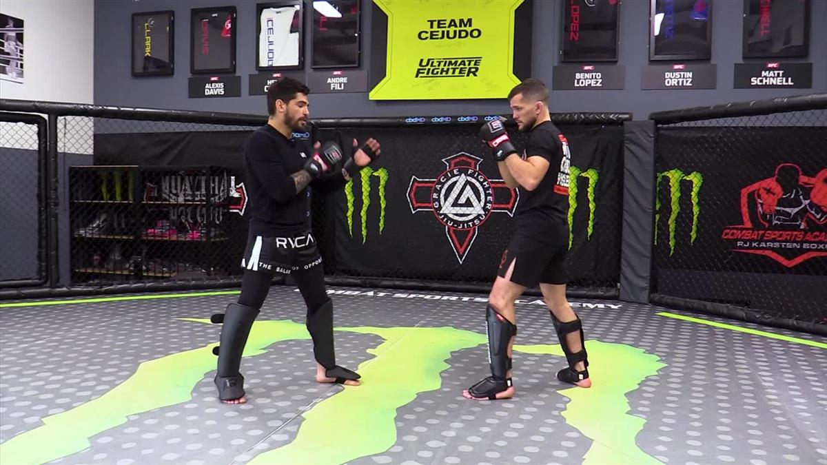 Muay Thai Basics For MMA by Gaston Bolanos - Image 5