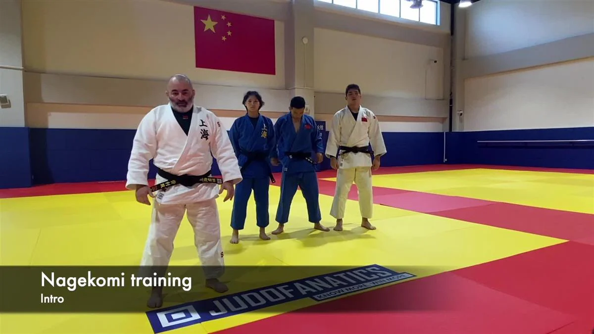 Nagekomi Training by Felipe Sanchez - Image 3