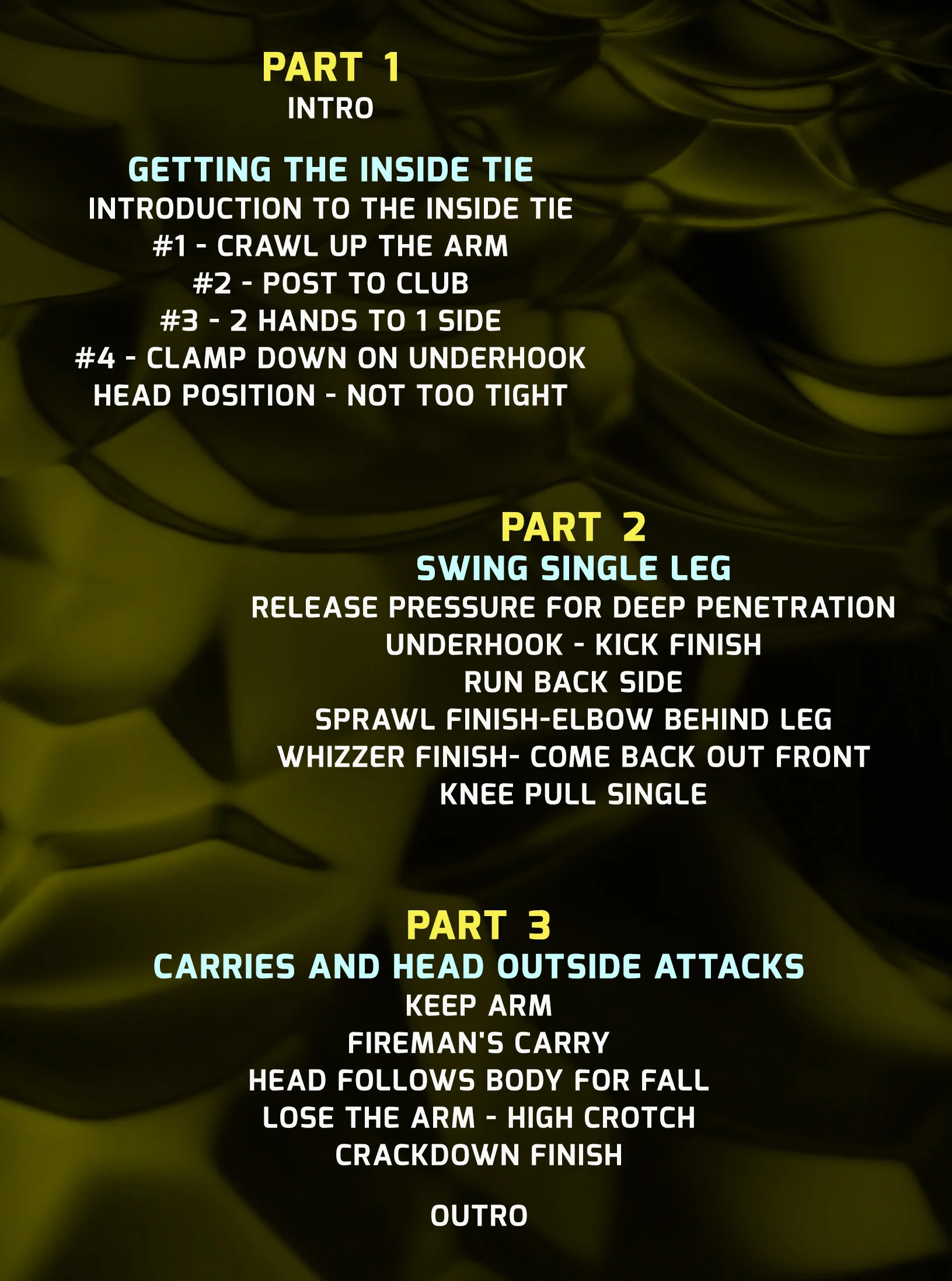 Offensive Leg attacks For Wrestling by Brandon Sorensen - Image 2