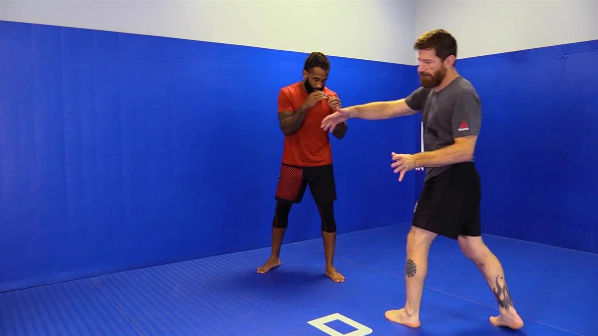 Offensive Wall Control for MMA by Mike Brown - Image 5