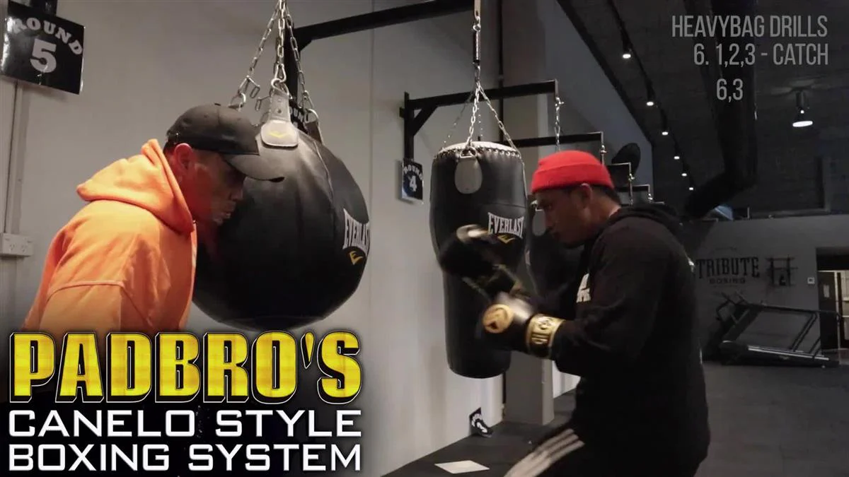 Padbro's Canelo Style Boxing System by Ray Sabur - Image 3