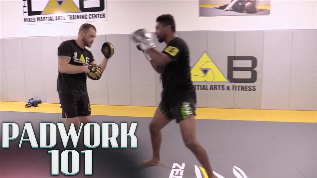 The 4 HR Comprehensive Padwork System by Randy Steinke - Image 3