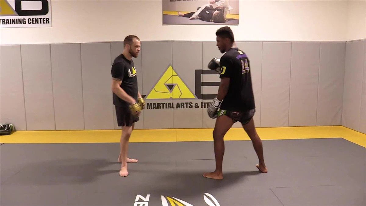 The 4 HR Comprehensive Padwork System by Randy Steinke - Image 4