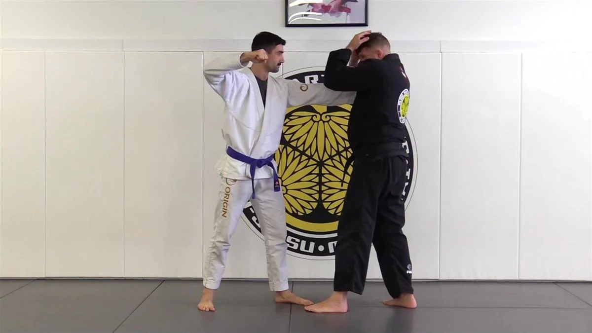 Punch Block Defense For BJJ by Charlie Vinch - Image 5
