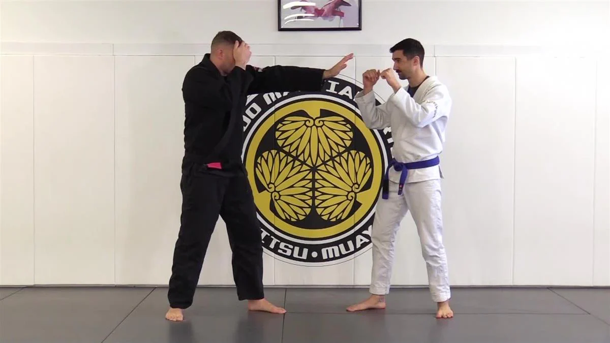 Punch Block Defense For BJJ by Charlie Vinch - Image 6