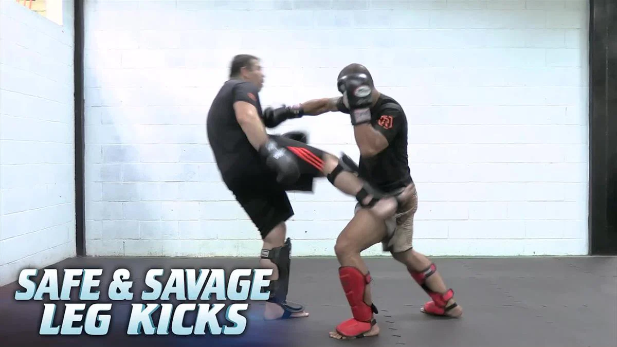 Safe And Savage Leg Kicks by Pedro Rizzo - Image 3
