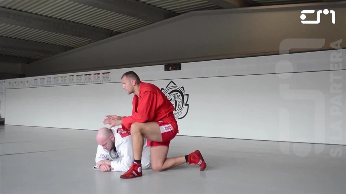 Sambo Academy: Arm Bars by Ivan Vasylchuk - Image 4