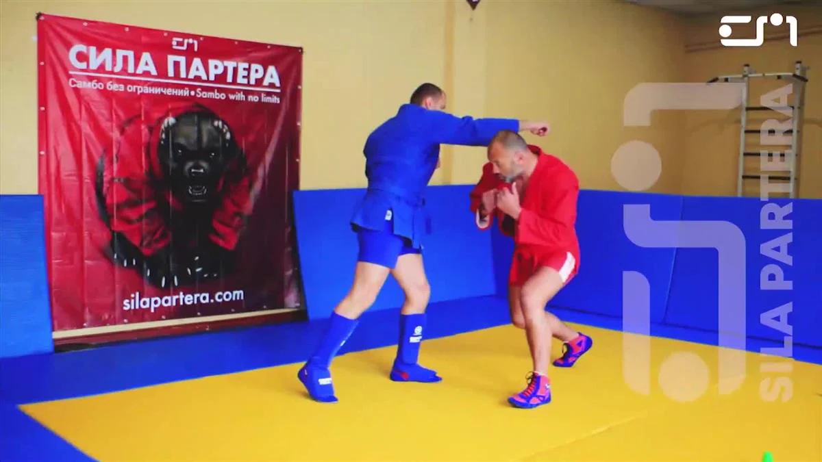 Sambo Academy: Combat Sambo by Ivan Vasylchuk - Image 2