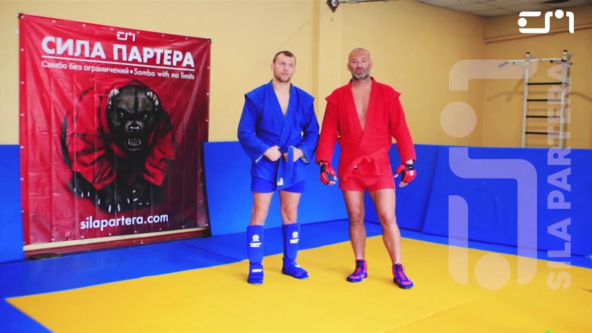 Sambo Academy: Combat Sambo by Ivan Vasylchuk - Image 3