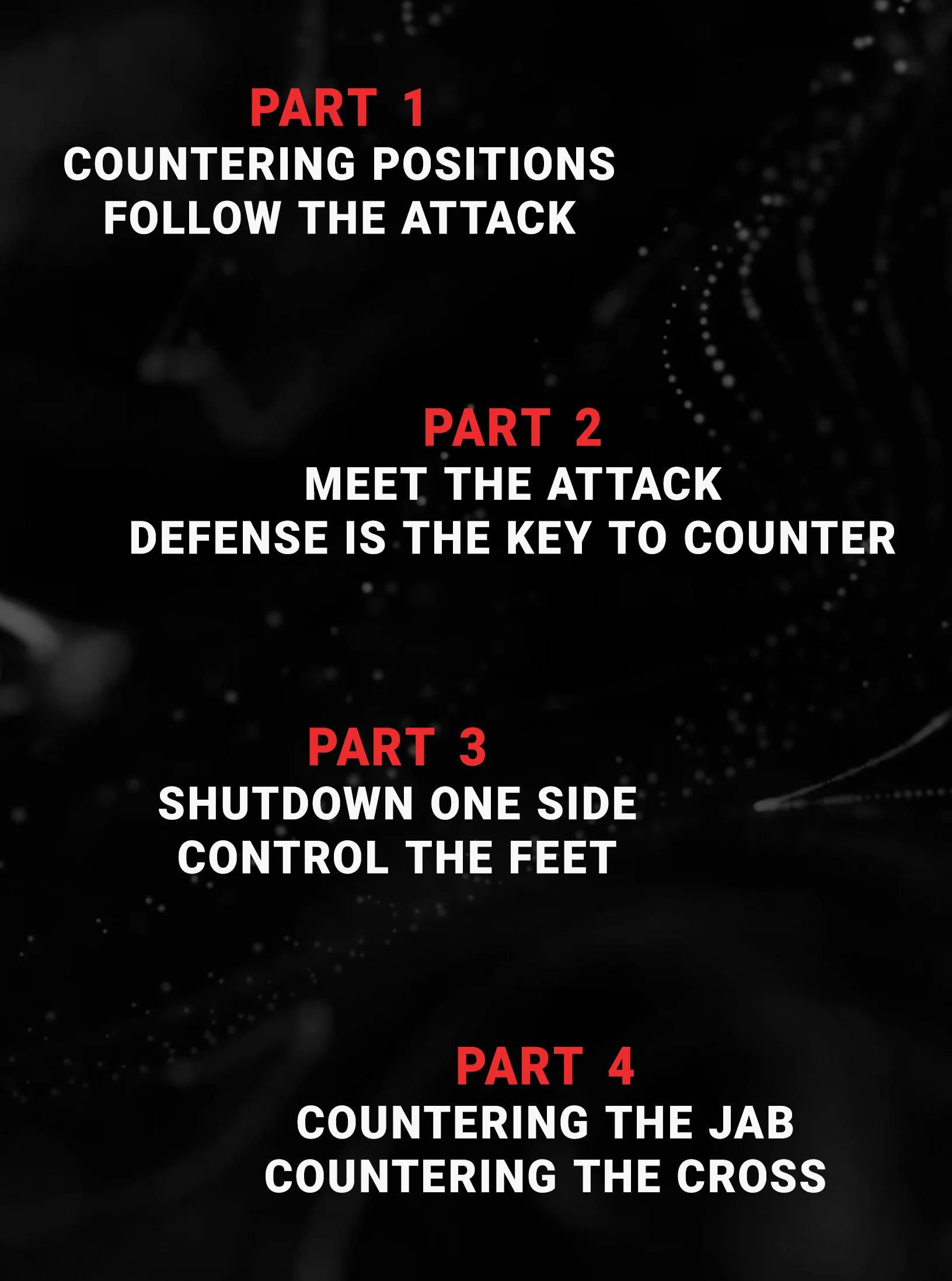 Secrets to Counter Fighting by Trevor Wittman - Image 2