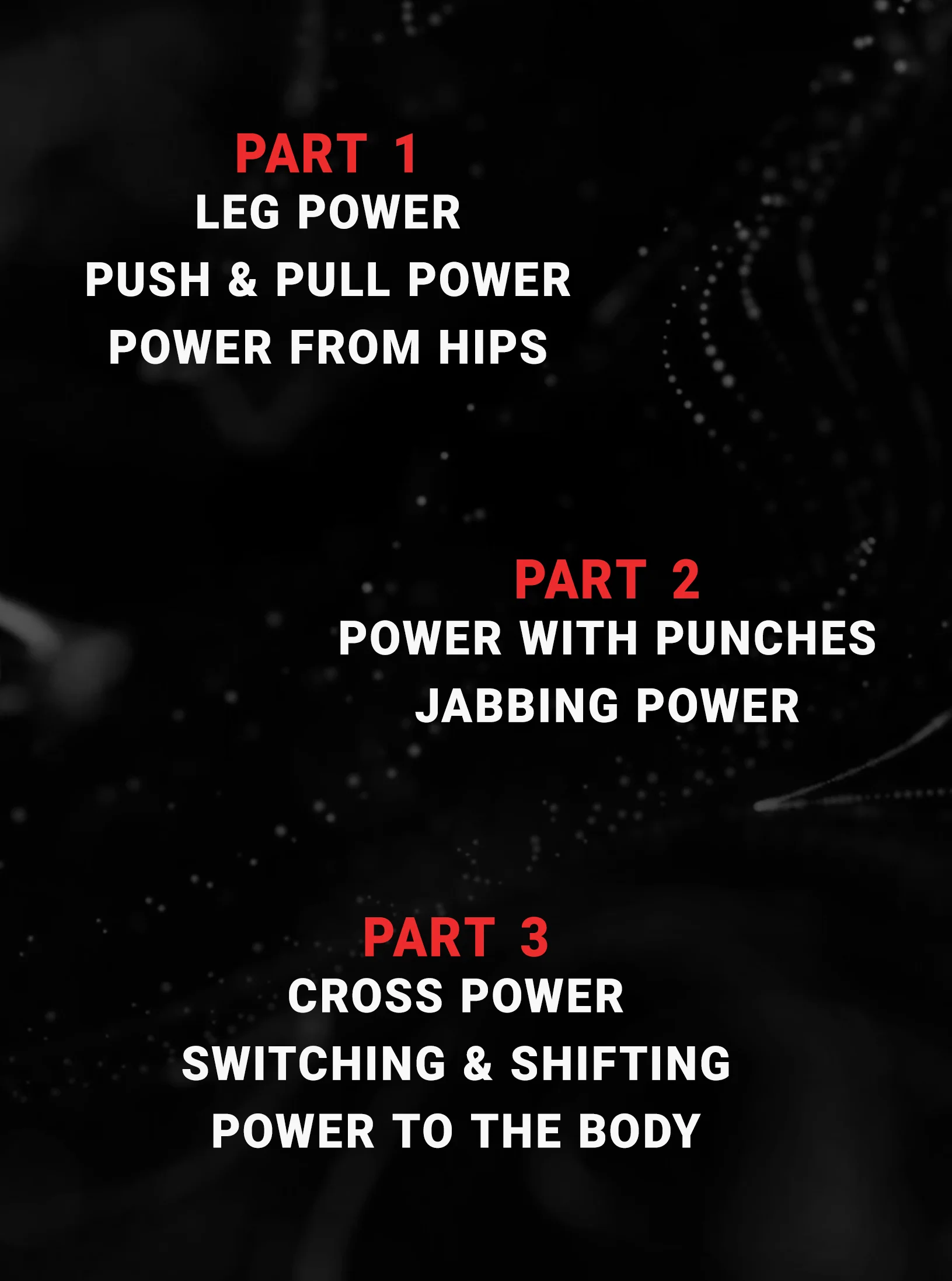 Secrets To Power by Trevor Wittman and Justin Gaethje - Image 2