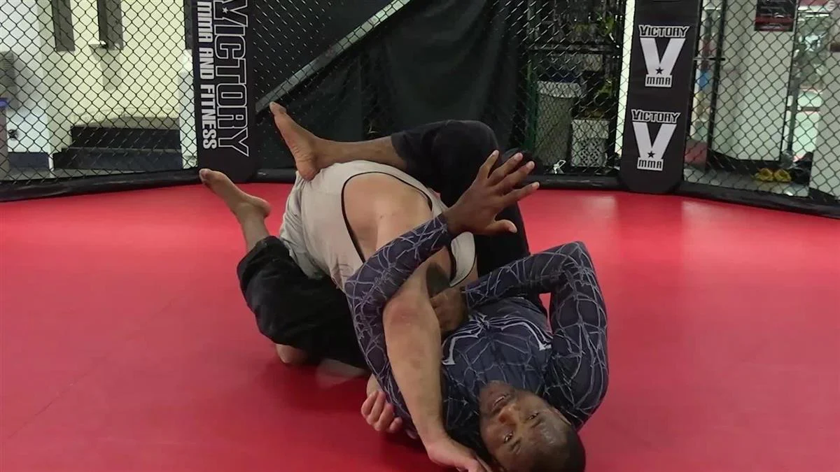 Self Defense Guard by Jeff Higgs - Image 4