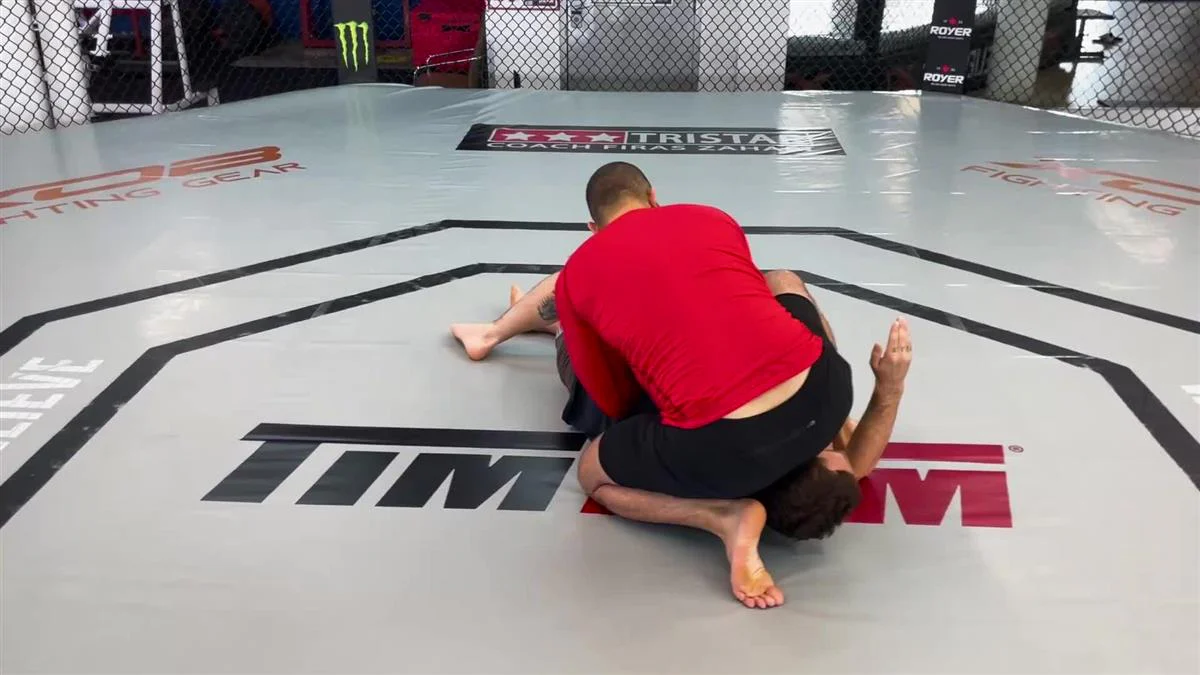 Side Control Made Easy by Firas Zahabi - Image 5
