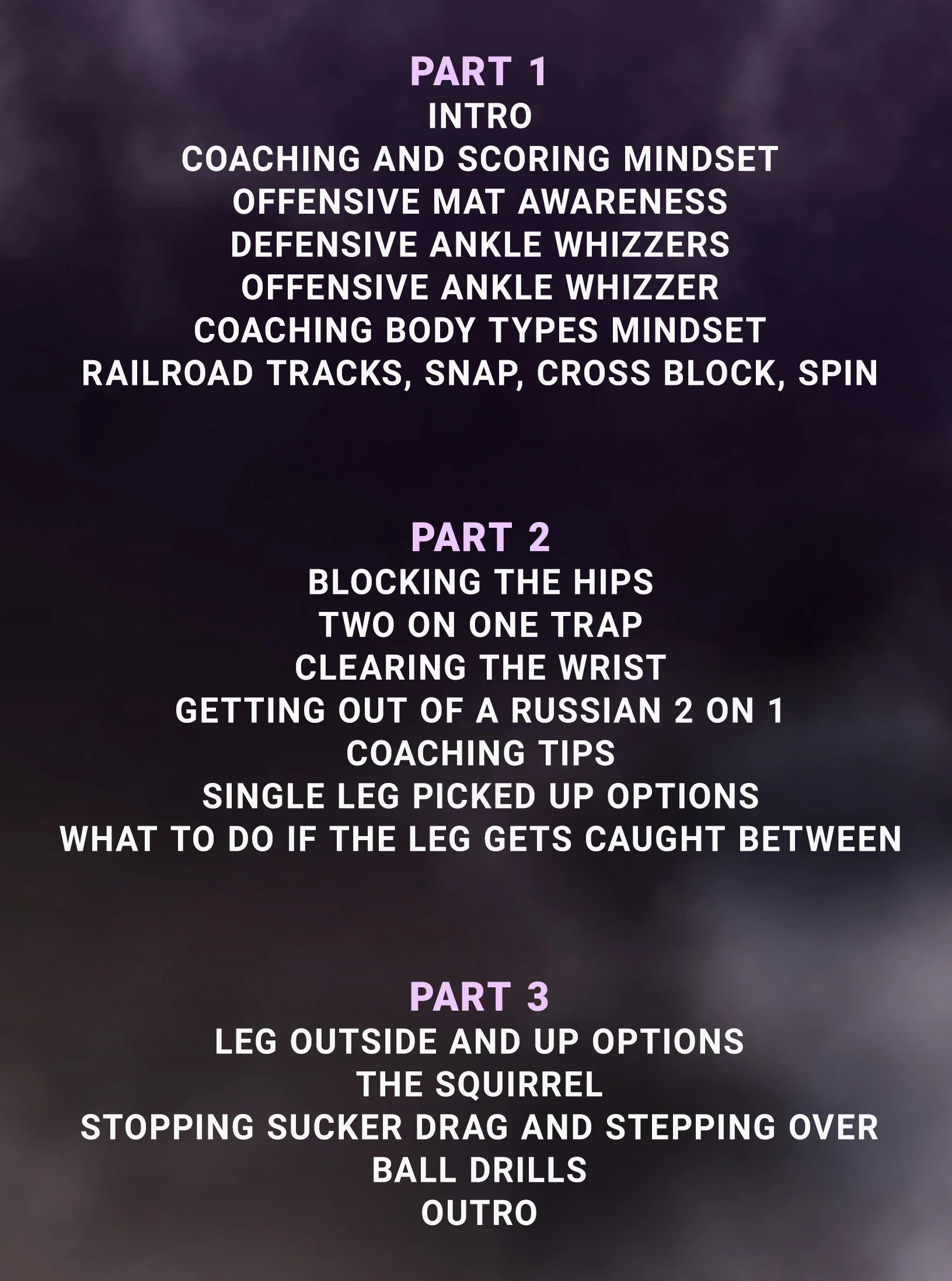 Slicks and Tricks: Wrestling Insights & Innovations by Wade Schalles - Image 2