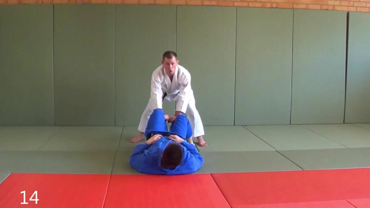 Smooth as Silk Guard & Half Guard Passing by Matt D'Aquino - Image 4