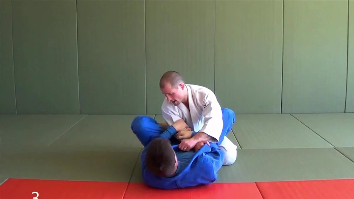 Smooth as Silk Guard & Half Guard Passing by Matt D'Aquino - Image 5