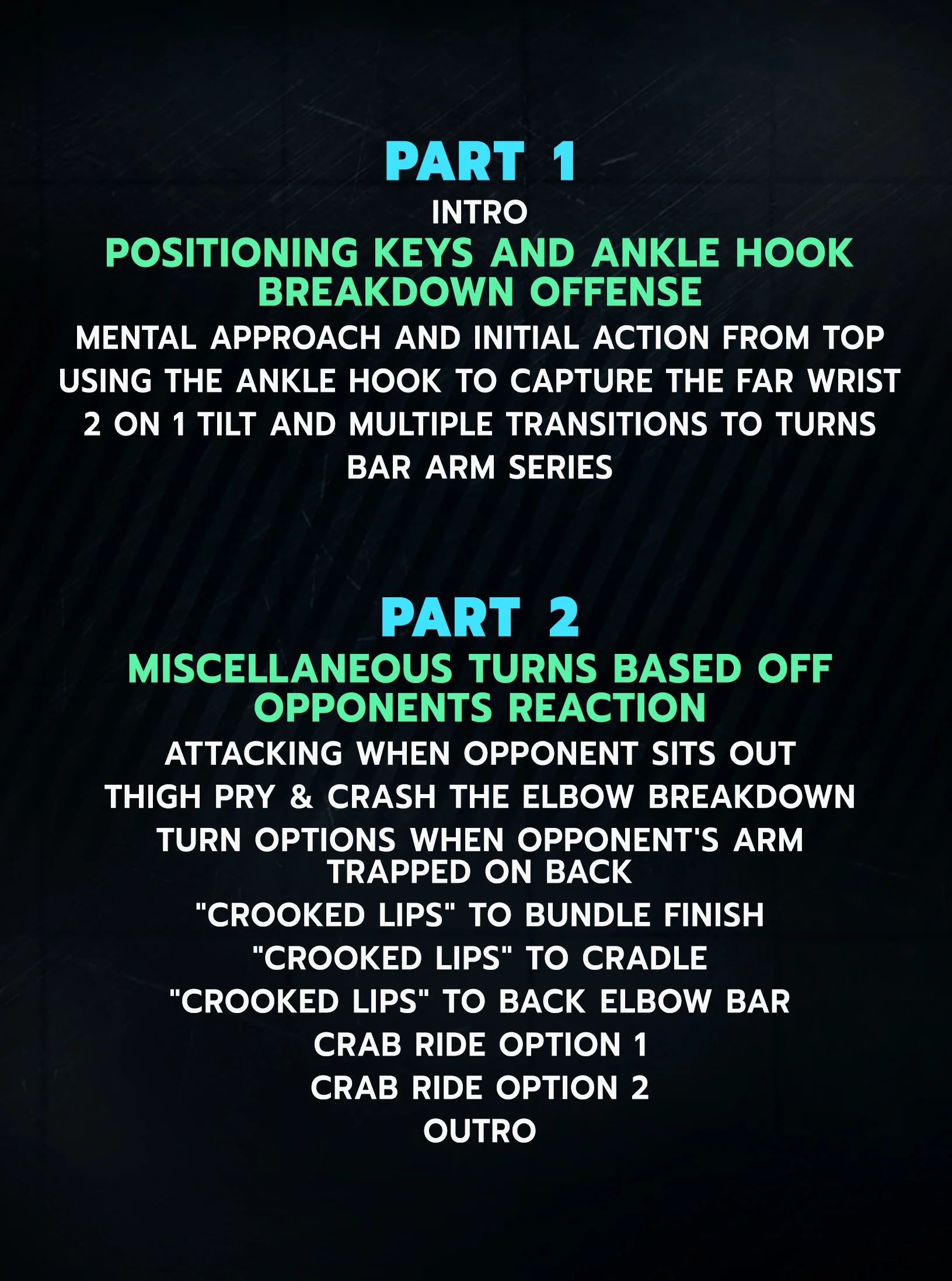 State of Domination: Championship Guide To Top Position Mastery by Carter Starocci - Image 2