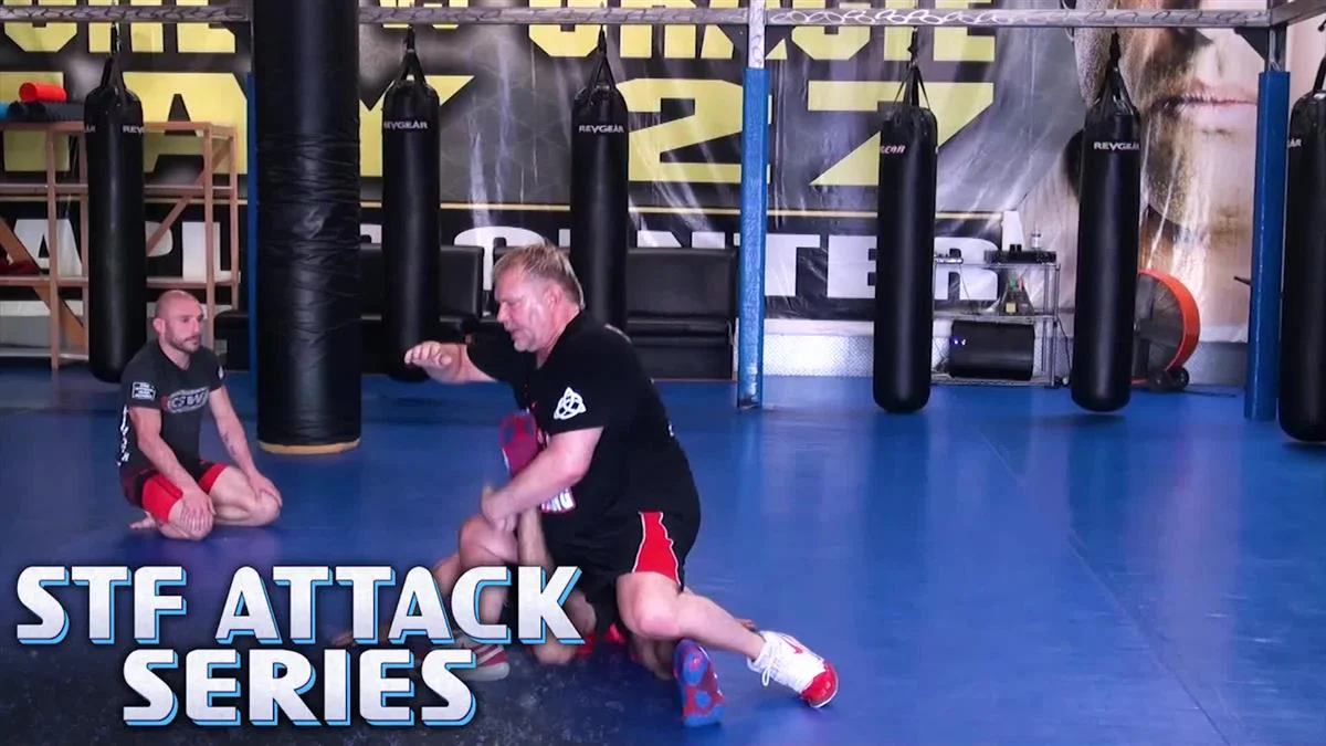 STF Attack Series by Erik Paulson - Image 3