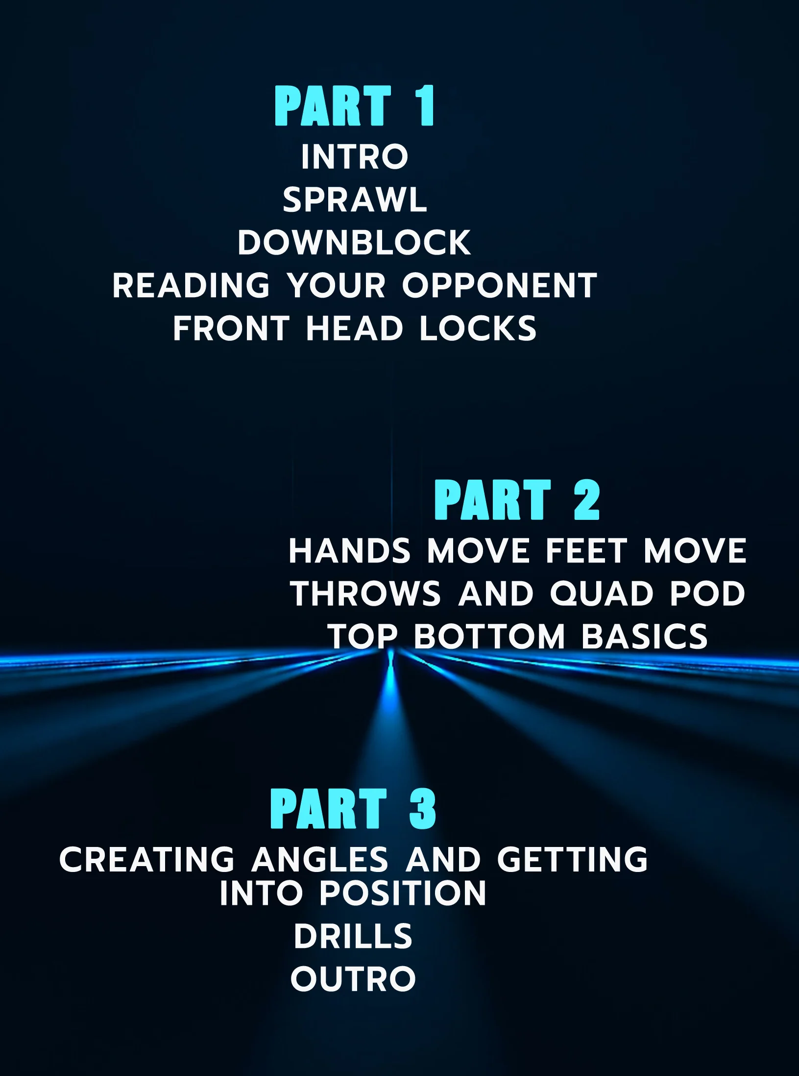 Sting Like a Bee: Counter Wrestling Mastery by J'Den Cox - Image 2