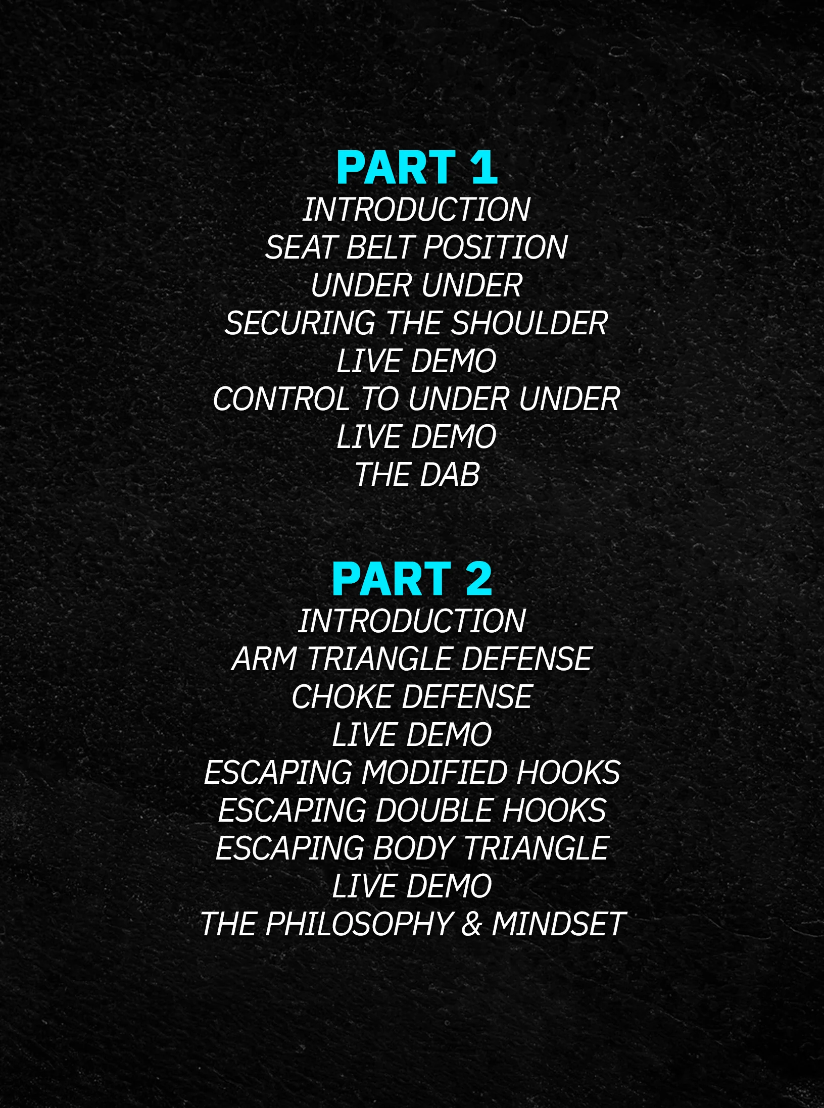 Strategic Back Exposure: DABS - Defensive Adaptive Back System by Steve Hordinski - Image 2