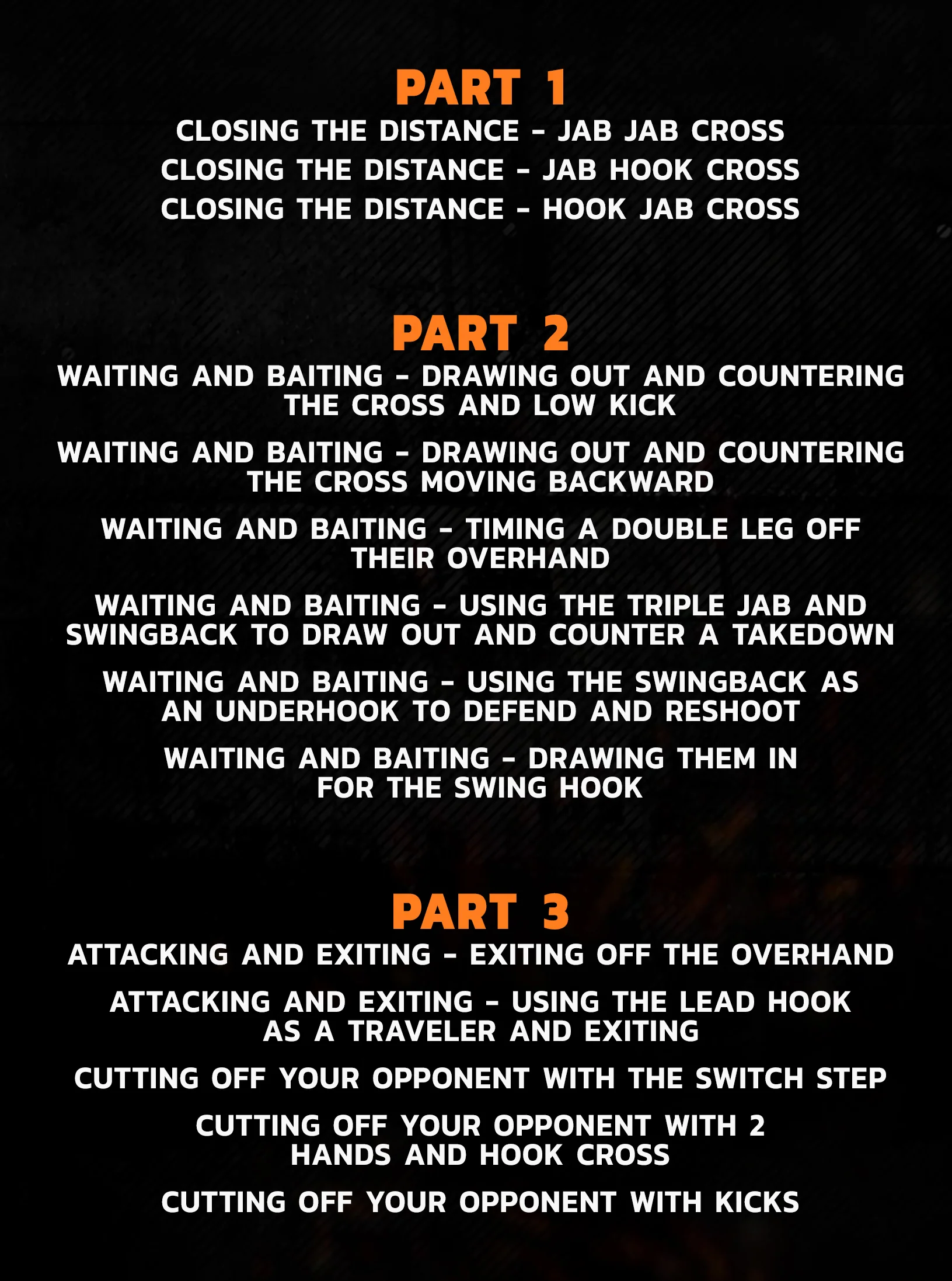Strikers Guide To MMA by Duane Ludwig - Image 2