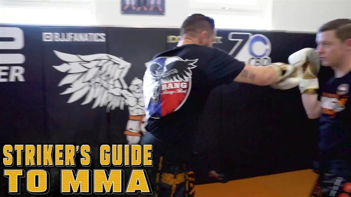 Strikers Guide To MMA by Duane Ludwig - Image 3