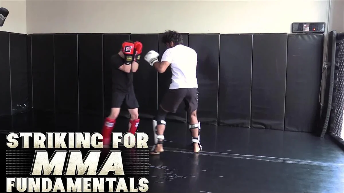 Striking For MMA Fundamentals by Richie Van Houten - Image 3