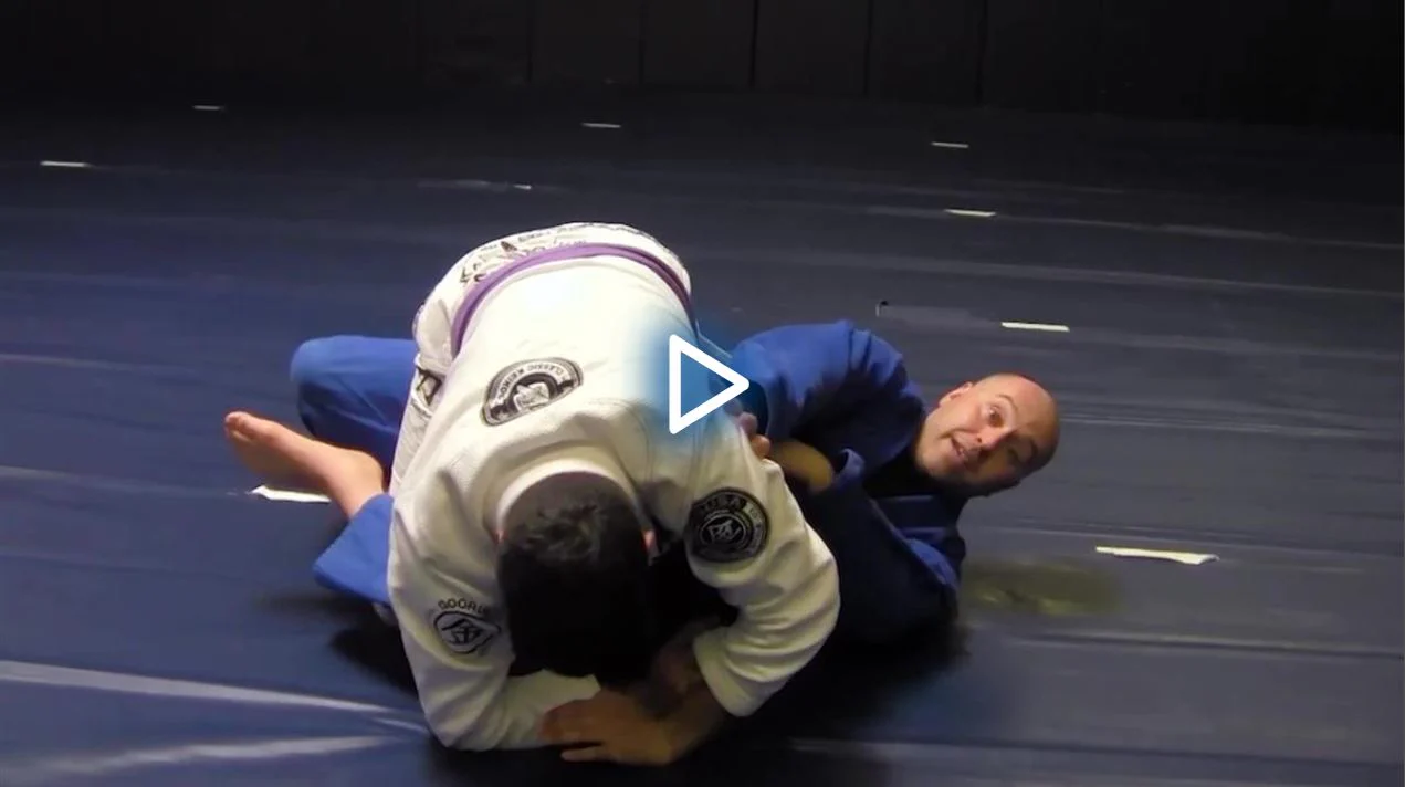 Systematic Armlock Defenses by Ante Dzolic - Image 5