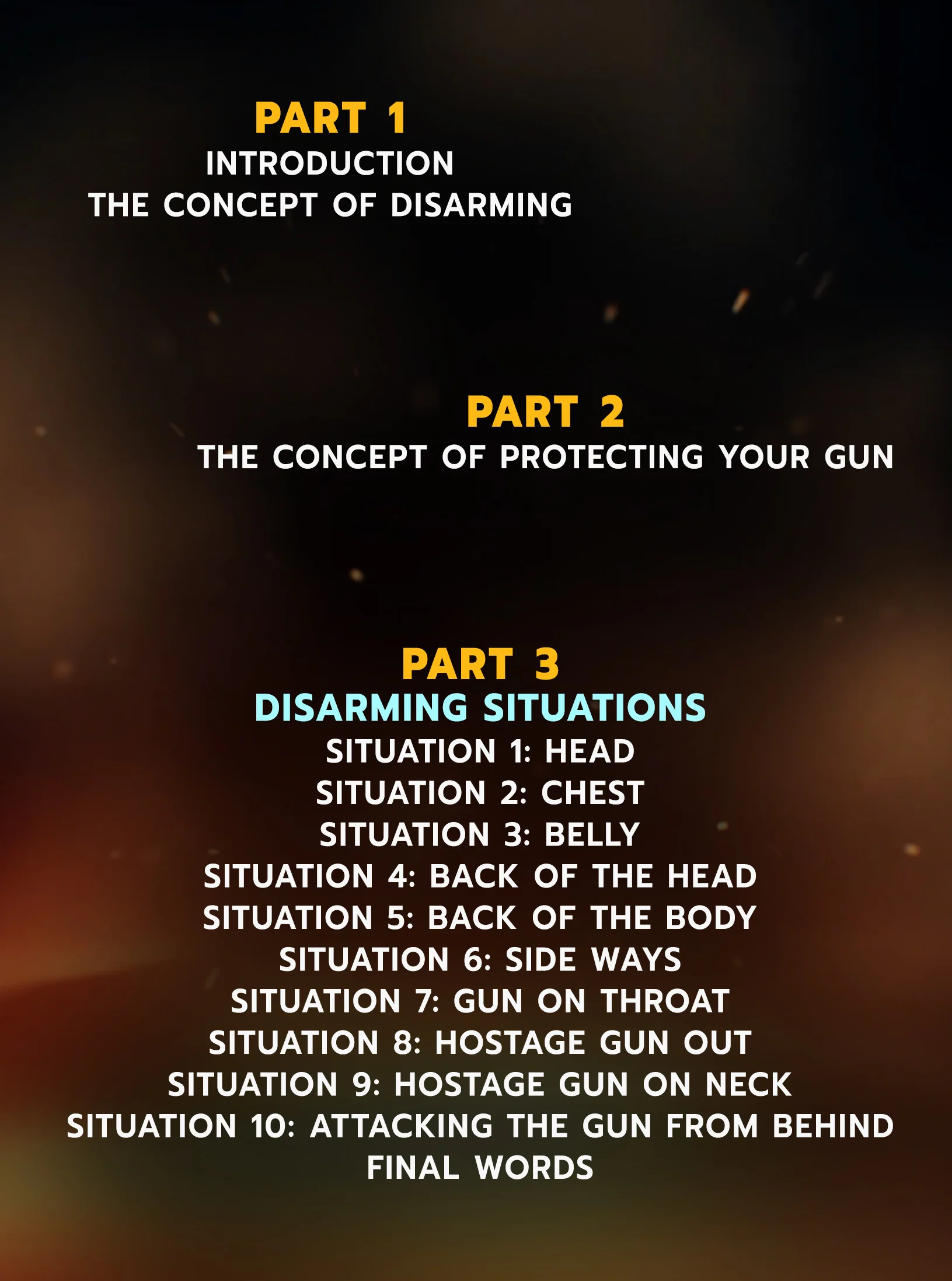 Tactical Combat GUN Disarming by Burak Bujin - Image 2