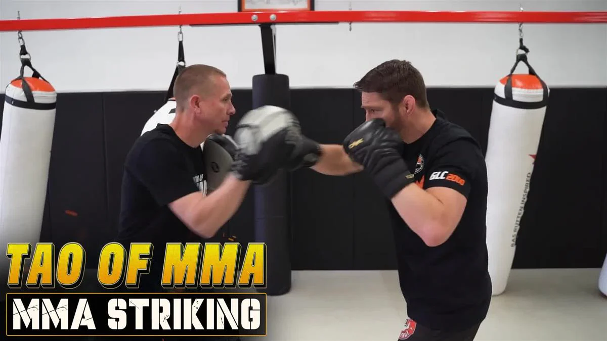 Tao of MMA: MMA Striking by Trevor Wittman and Duane Ludwig - Image 3