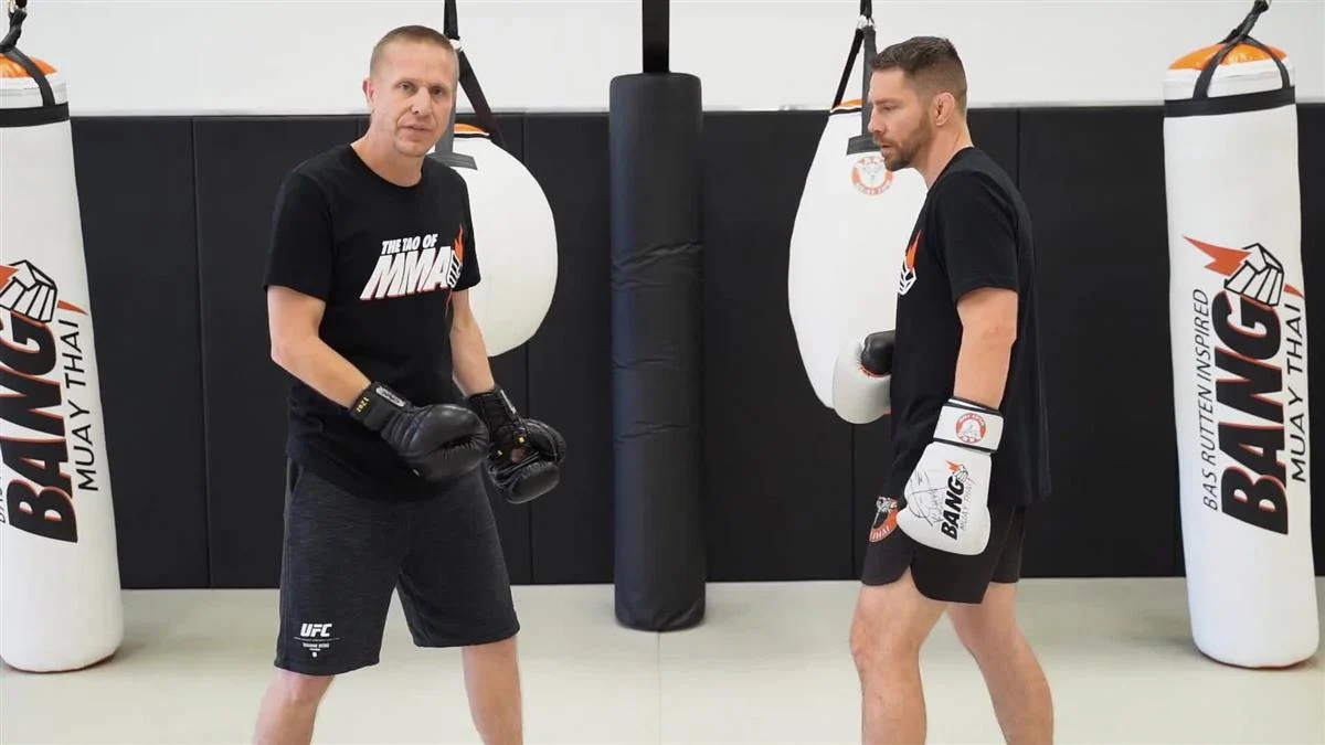 Tao of MMA: MMA Striking by Trevor Wittman and Duane Ludwig - Image 5