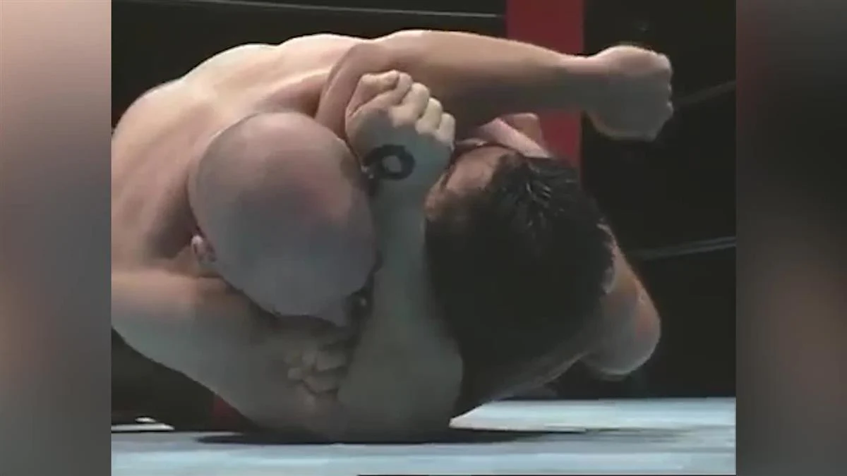 Tao of MMA: Pro Tips by Bas Rutten - Image 4