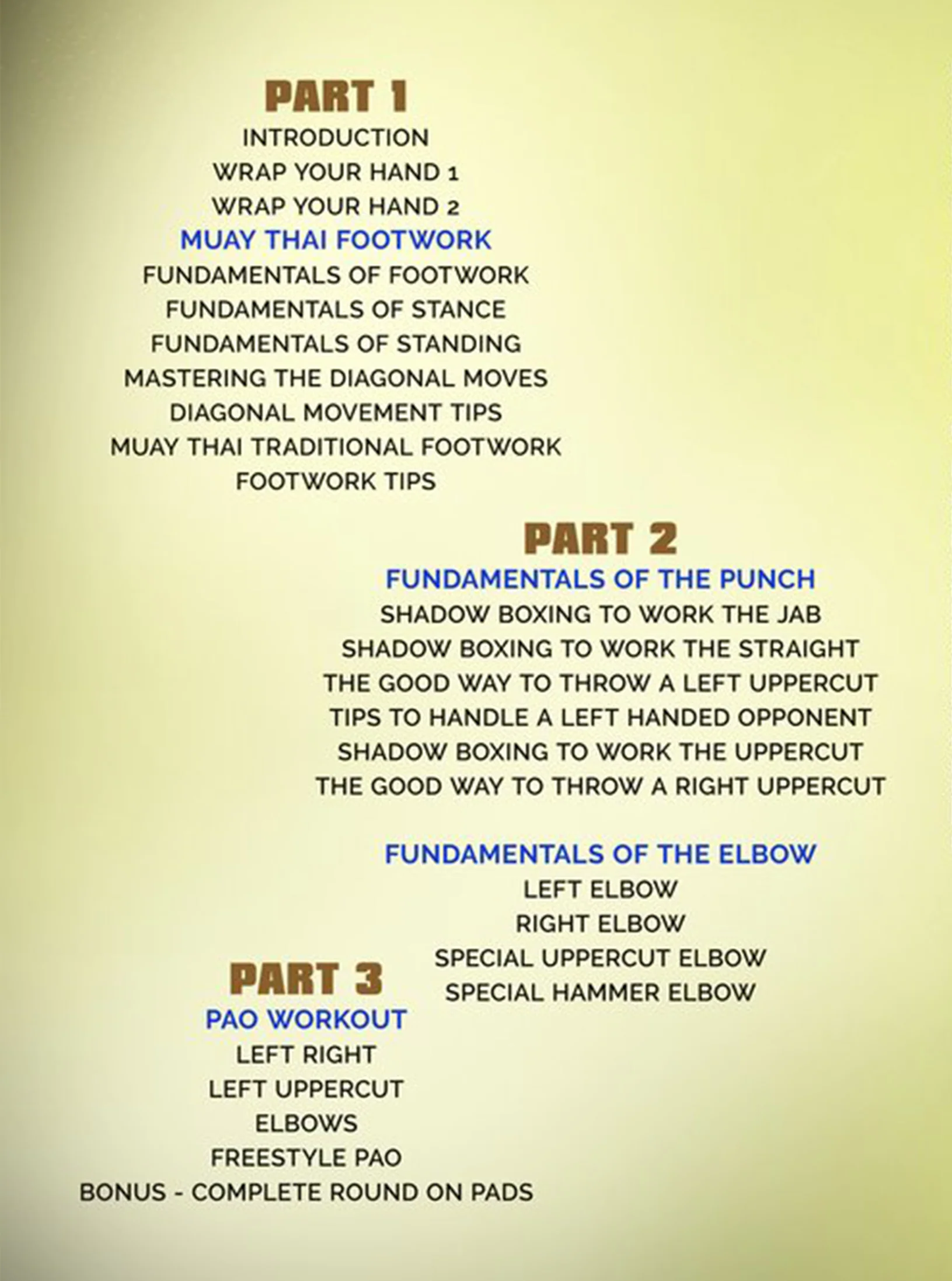 Thai Boxing Fundamentals by Youssef Boughhanem - Image 2