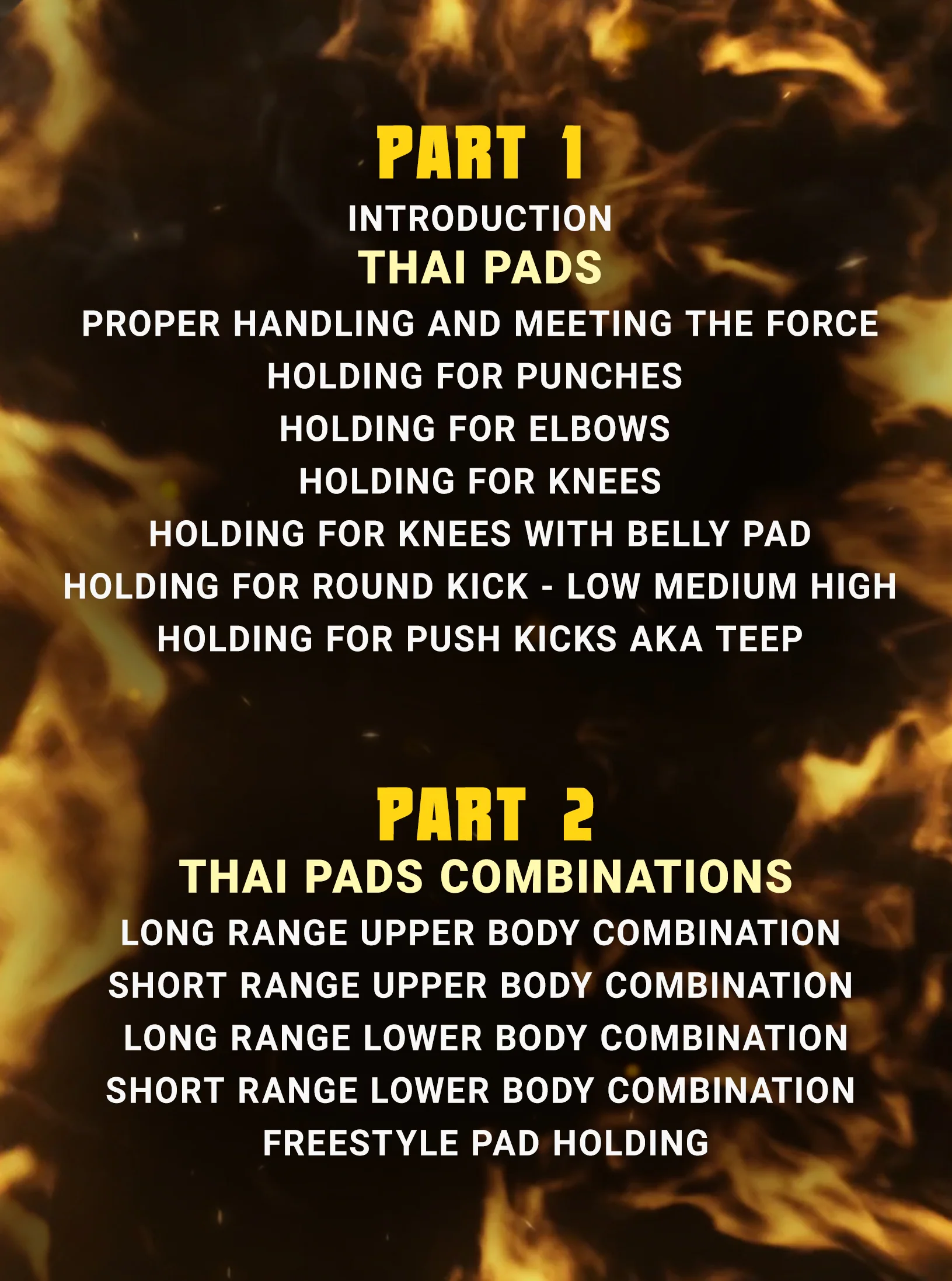 Thai Pad Striking Manual by Belton Lubas - Image 2