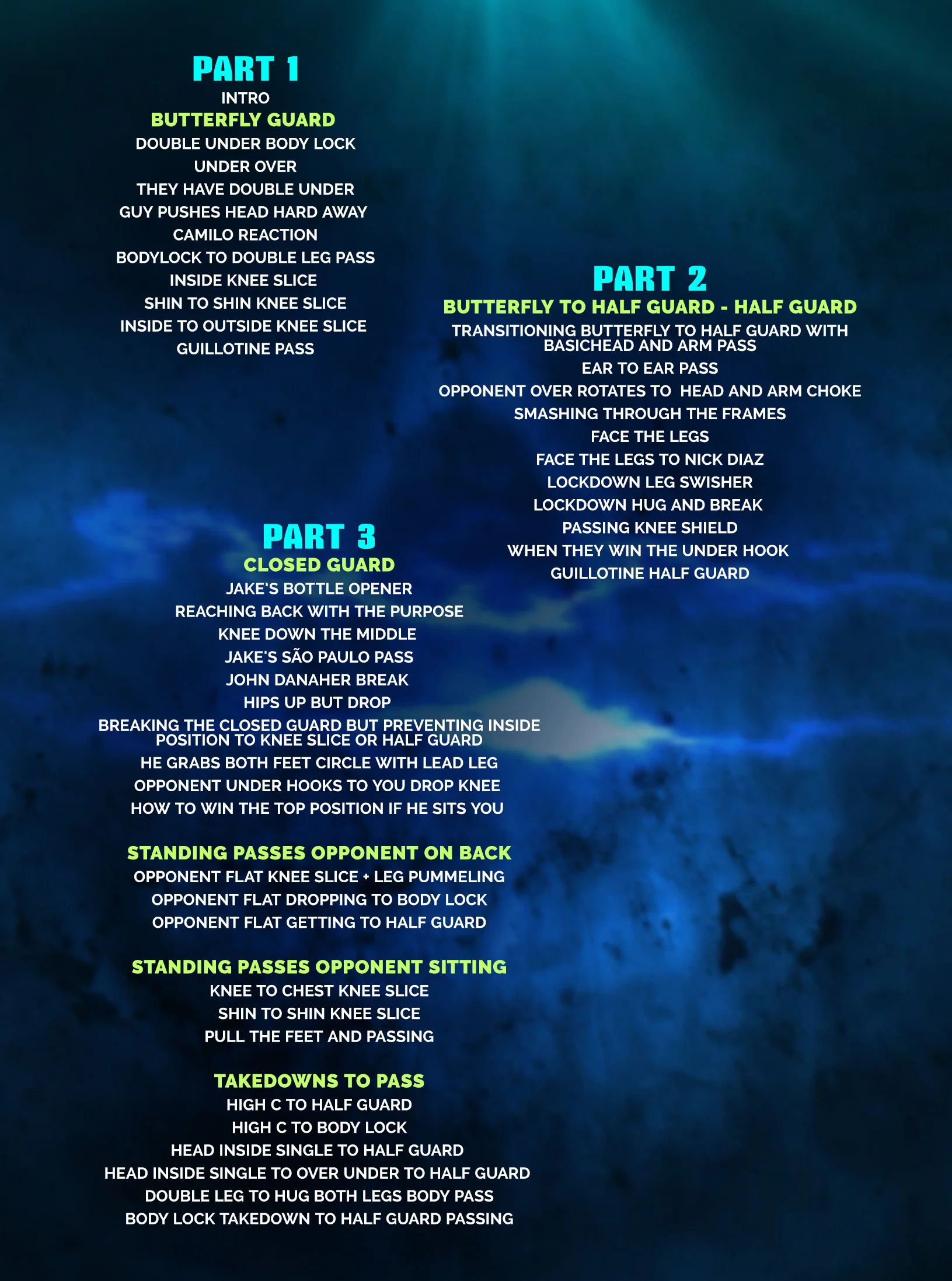 The American Jiu Jitsu Pressure Passing System by Jake Shields - Image 2