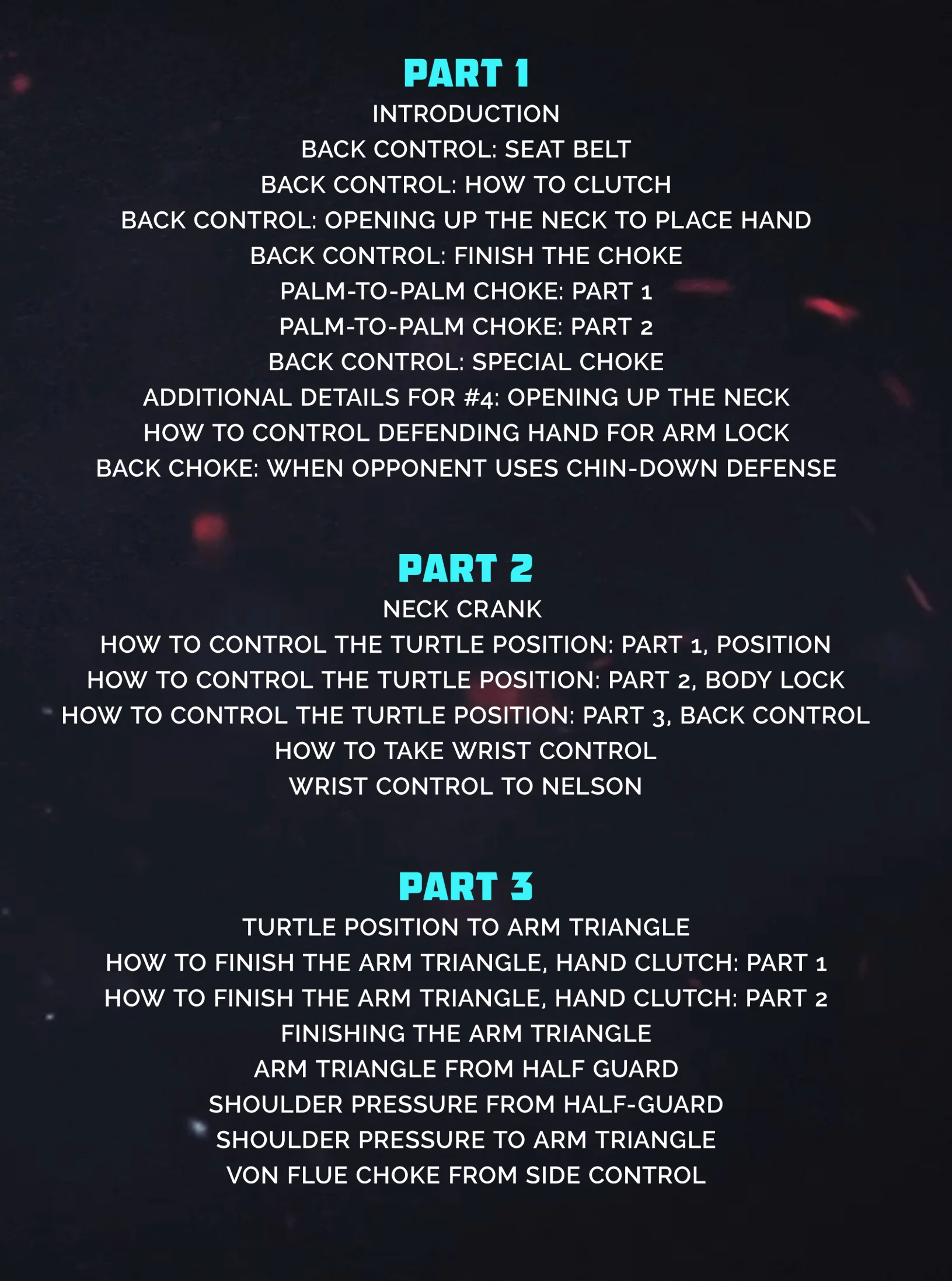 The Aoki Back Attack System by Shinya Aoki - Image 2