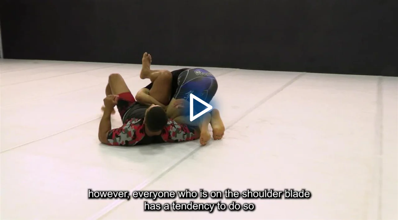 The Art of Devastating Heel Hooks by Rousimar Palhares - Image 5