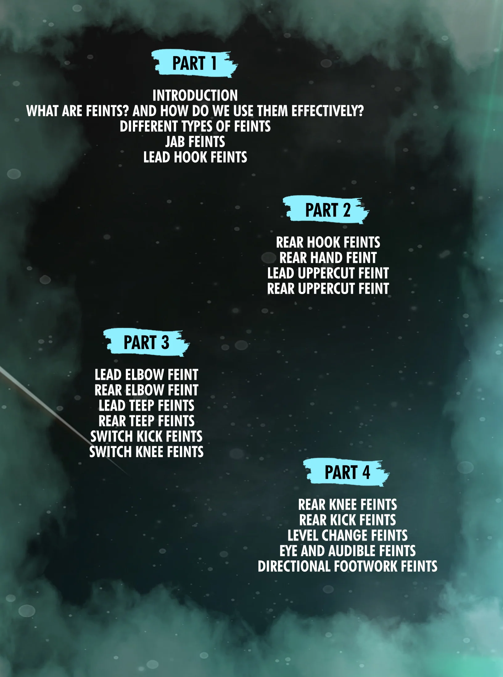 The Art of The Feint by Micah Brown - Image 2