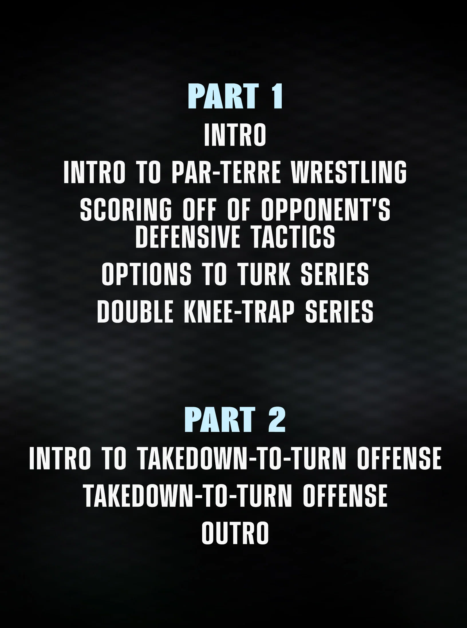 The Art of the Leg Lace: Dominating With Takedown To Turn Offense by Terry Steiner - Image 2