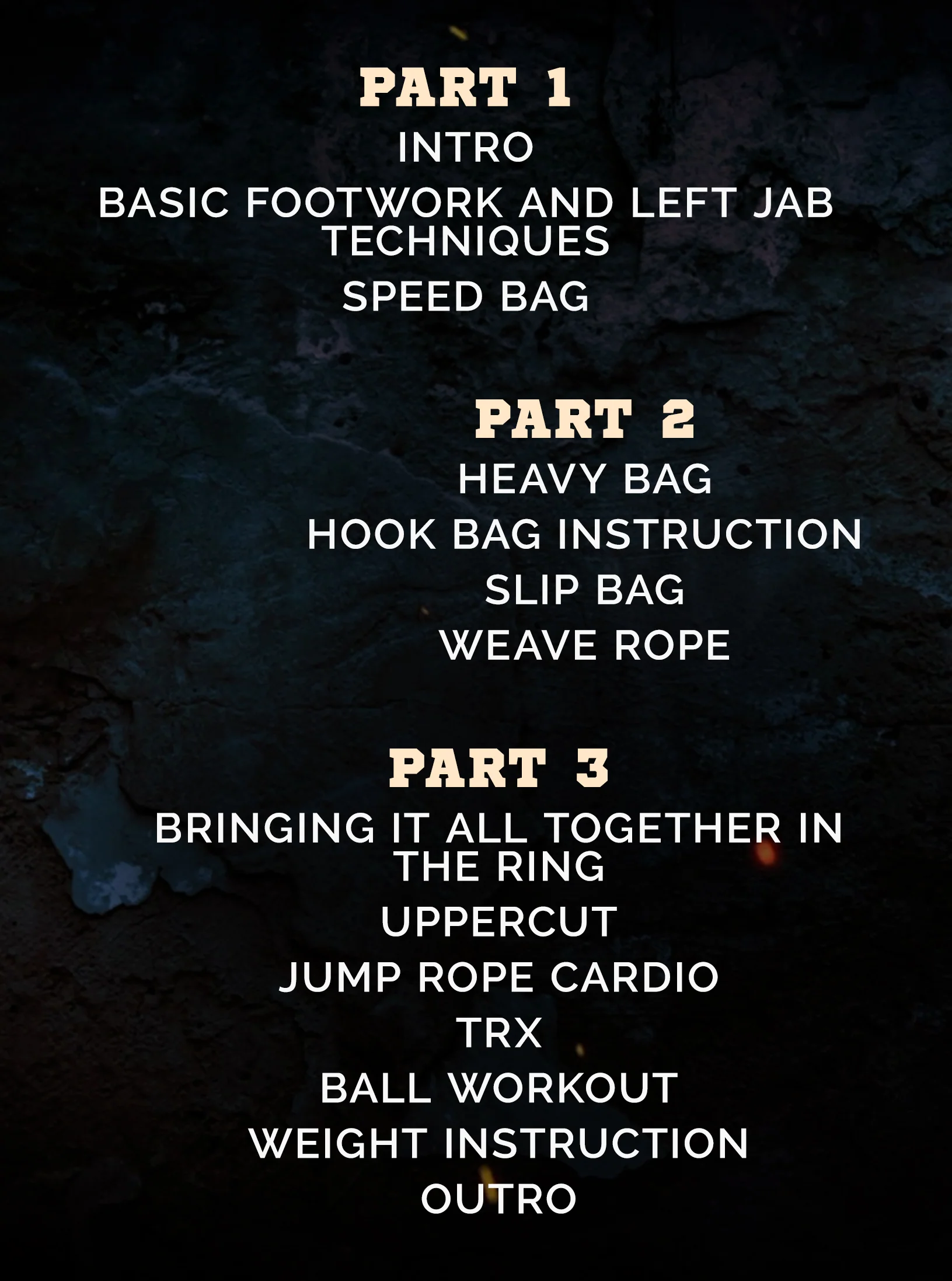 The Basics & Fundamentals Of Boxing by Jimmy McNally - Image 2