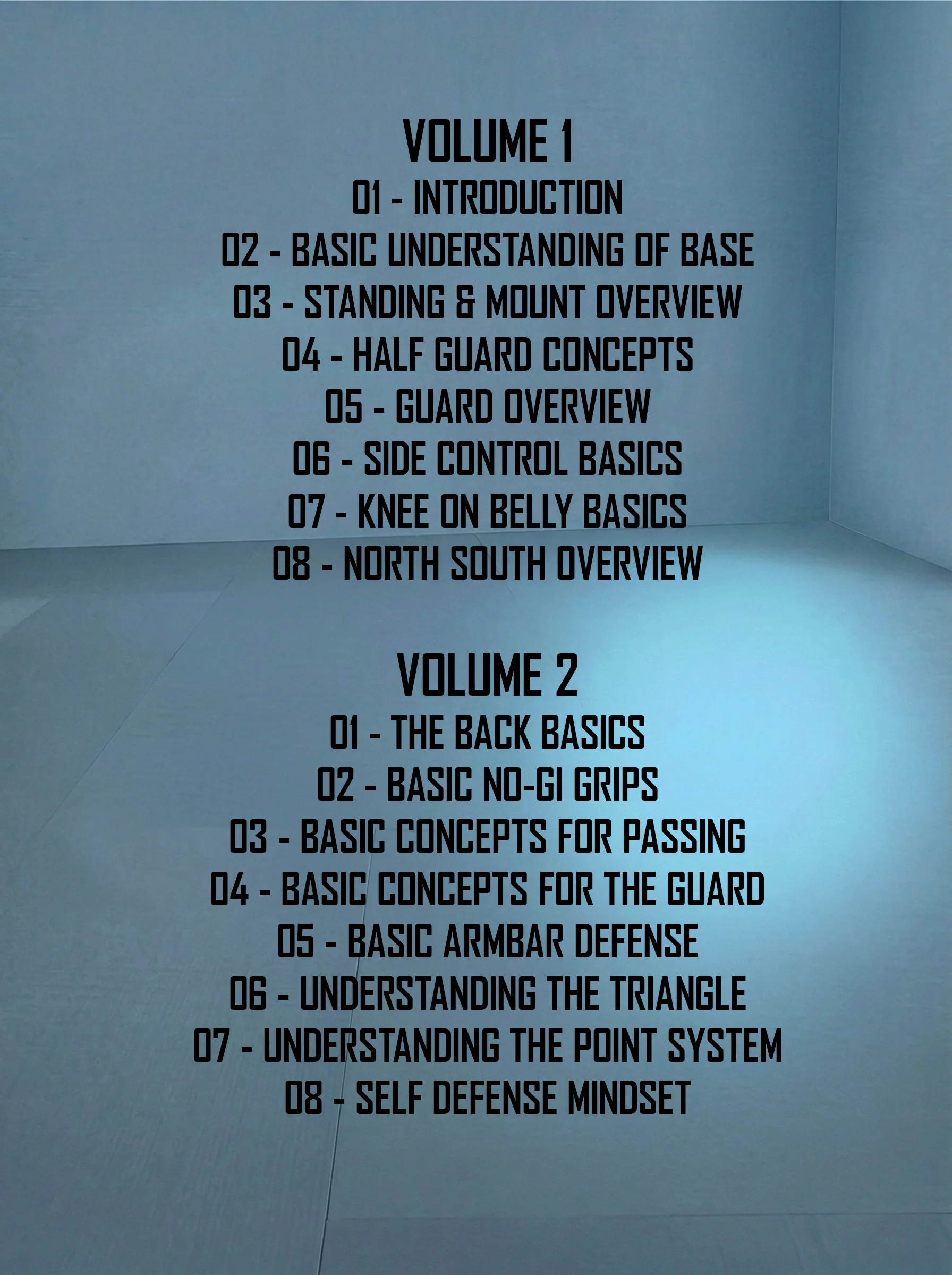 The Beginners Guide To Jiu Jitsu by Joel Bouhey - Image 2