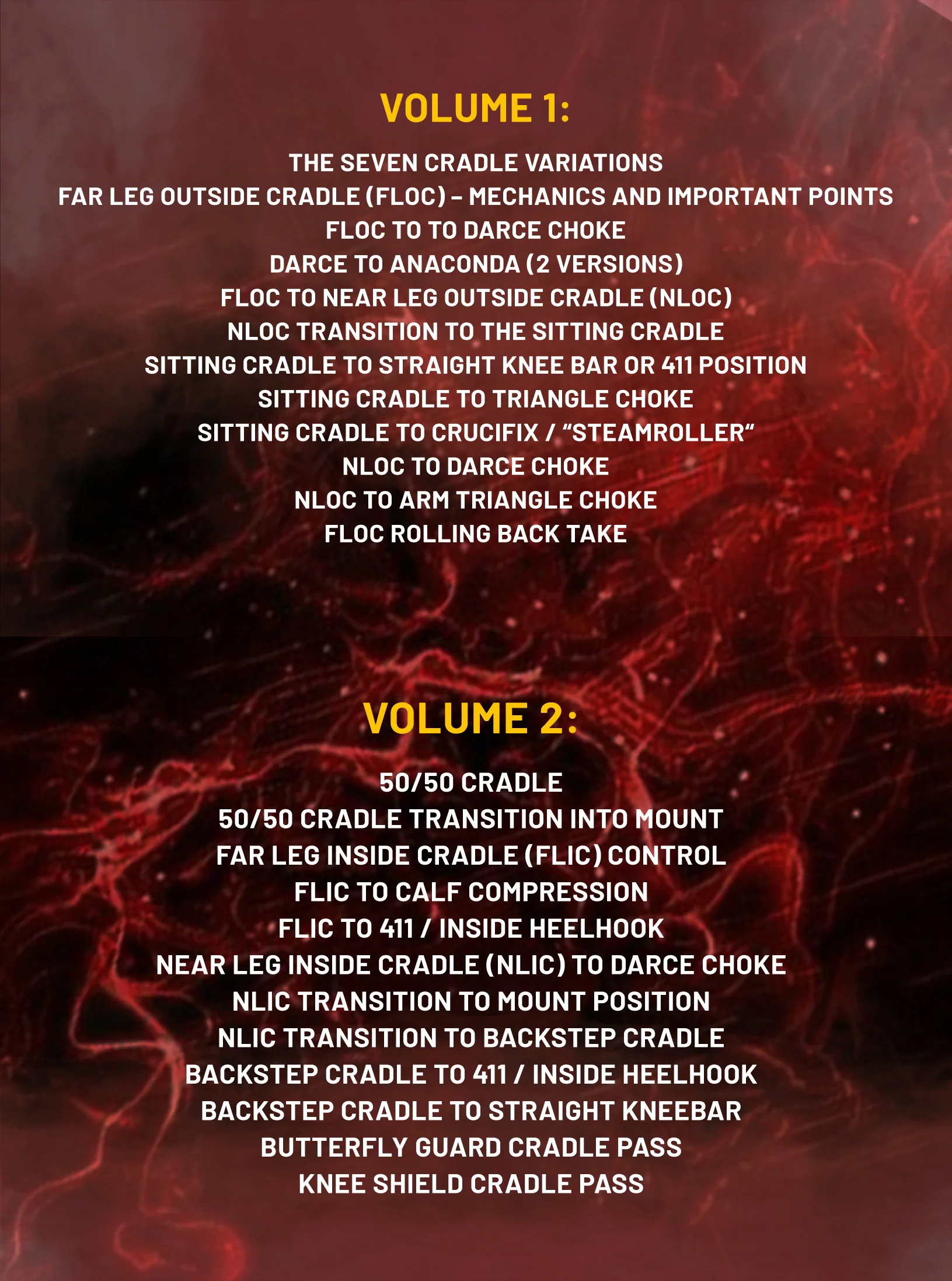 The Brazilian Jiu Jitsu Cradle by Bjorn Friedrich - Image 2