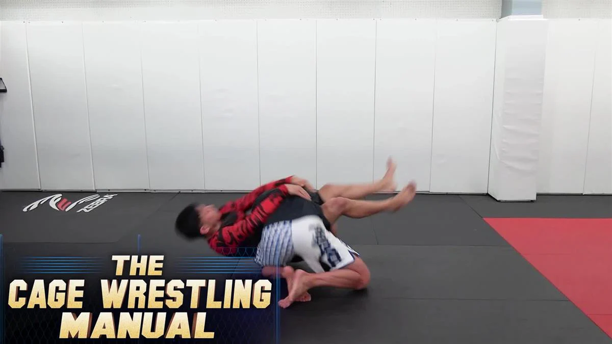 The Cage Wrestling Manual by Joshua McDonald - Image 3