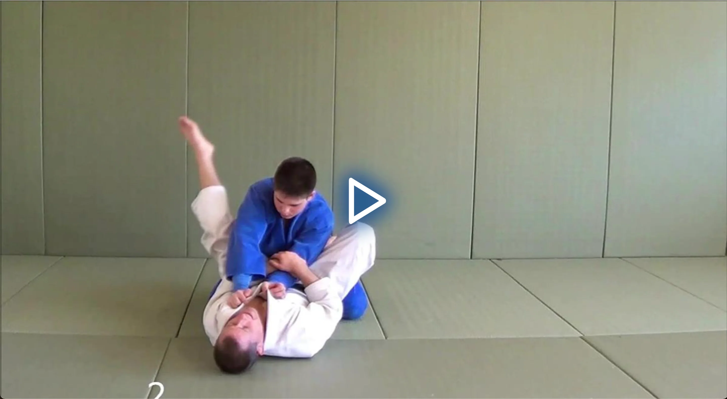 The Classic Judo Arm Bar by Matt D'Aquino - Image 3