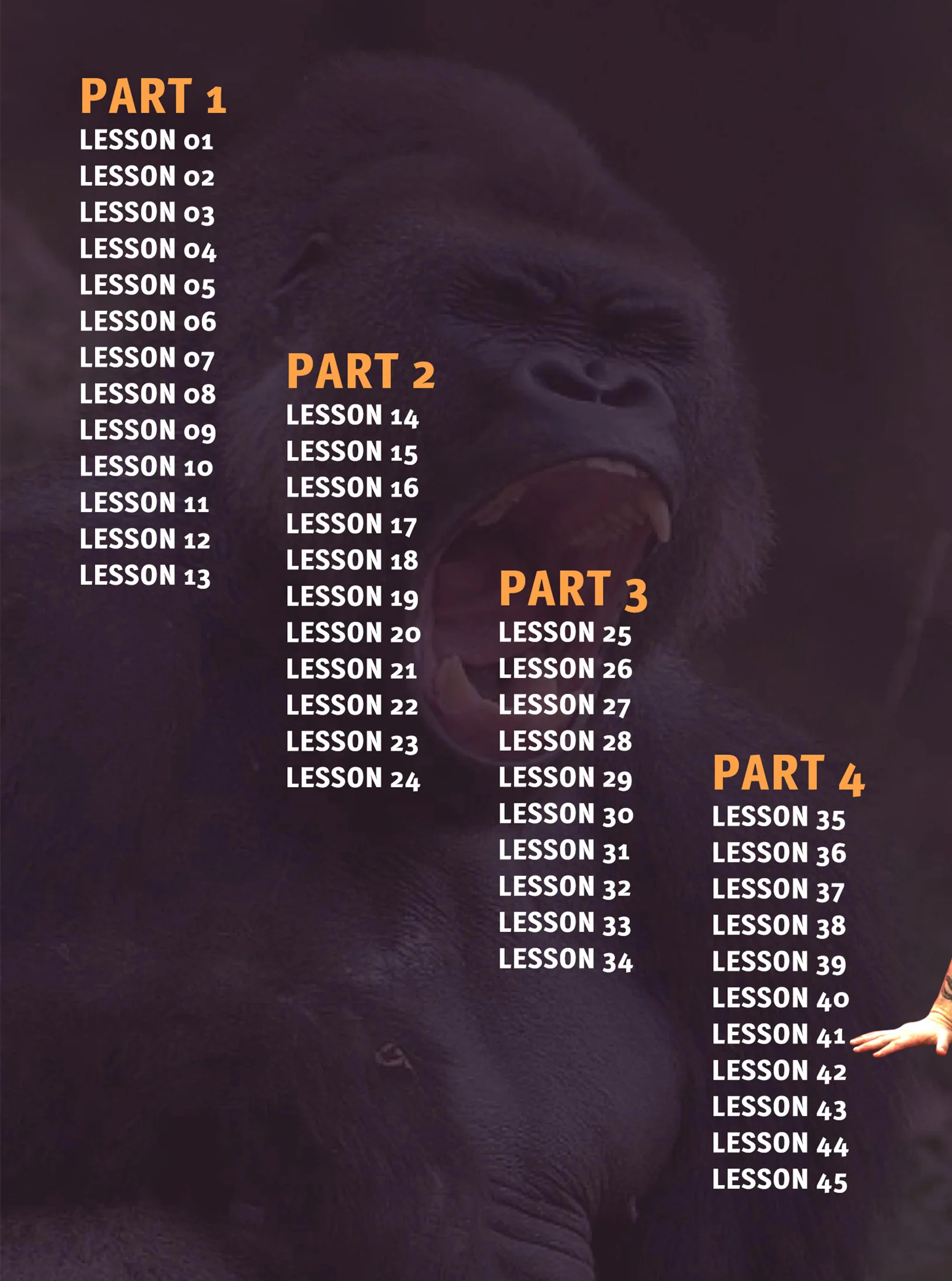 The Closed Guard Compendium by Matt Thornton - Image 2